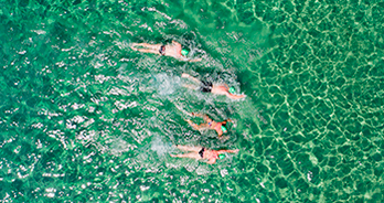 Swimming Paradise Blu Race